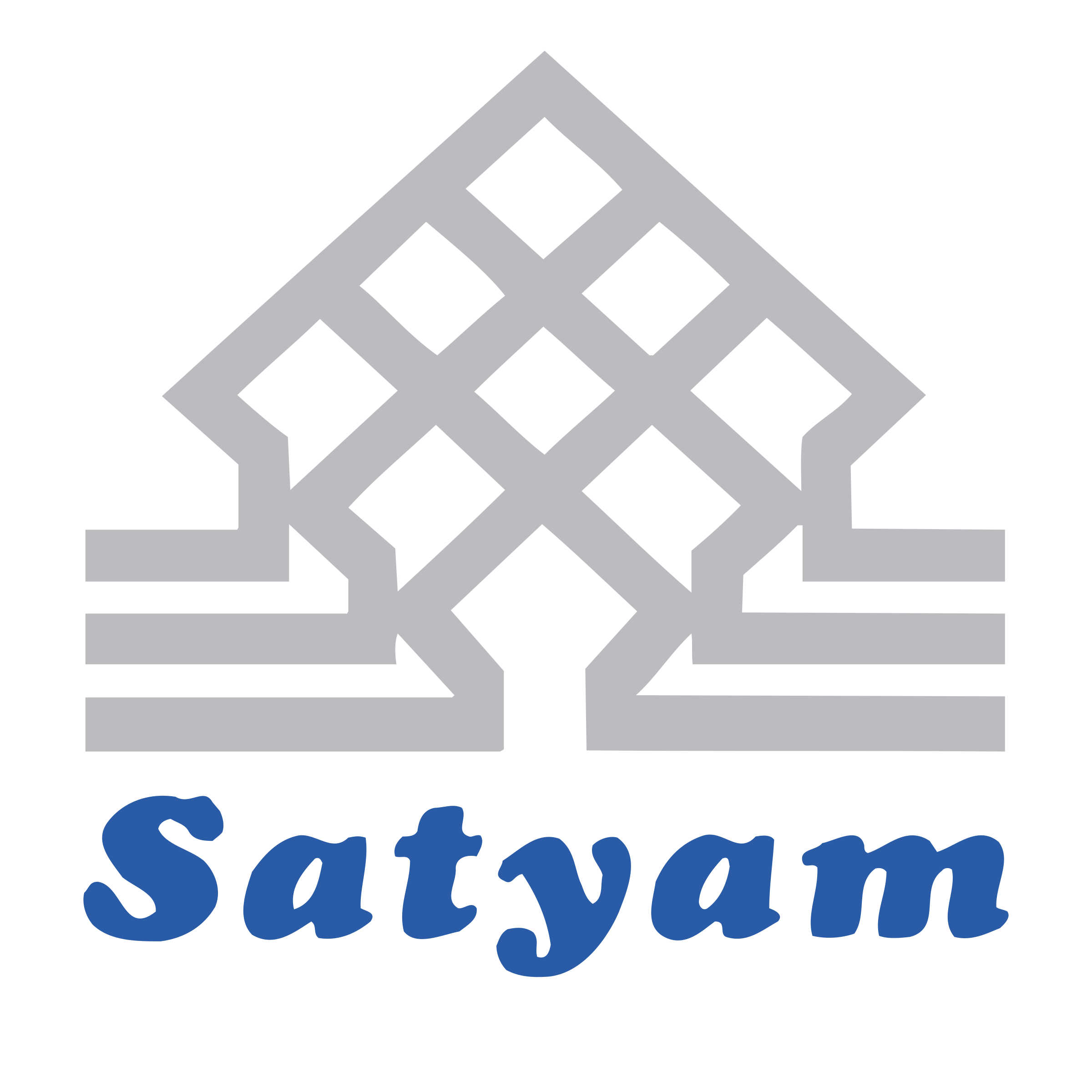 Satyam Next Level Logo - SATYAM DEVELOPERS